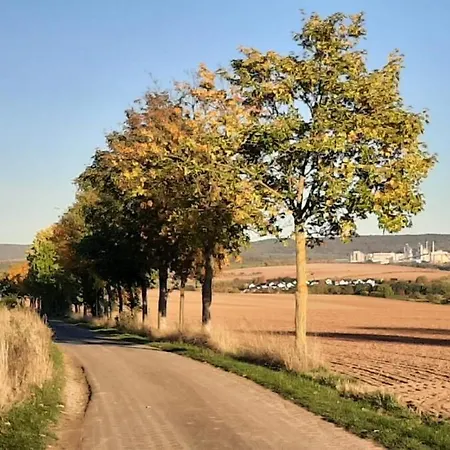 Auszeit-oase *