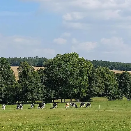 Apartman Auszeit-oase Niederorschel