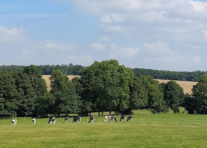 Daire Auszeit-oase Niederorschel