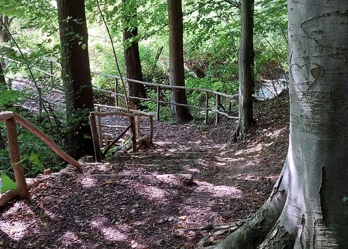 Daire Auszeit-oase Niederorschel